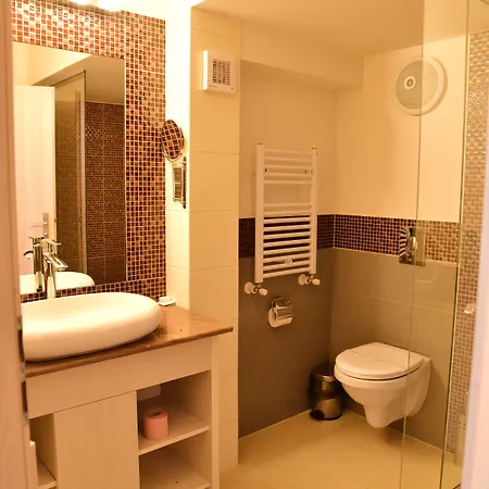 Ξενοδοχείο Bacolux Craiovita, 3*