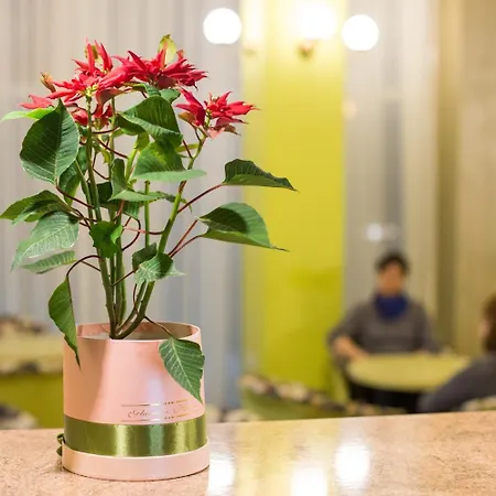 Bacolux Craiovita, Craiova