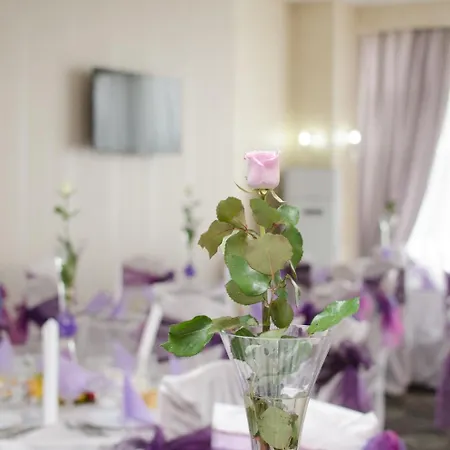Hotel Bacolux Craiovita,