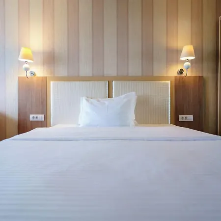 Hotel Bacolux Craiovita,
