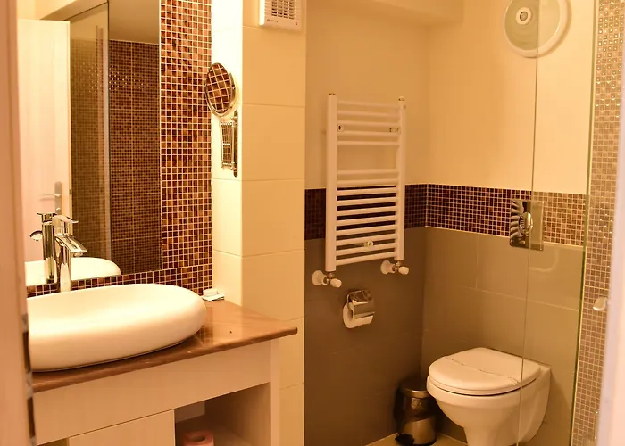 Hotel Bacolux Craiovita Hotel&events, 3*