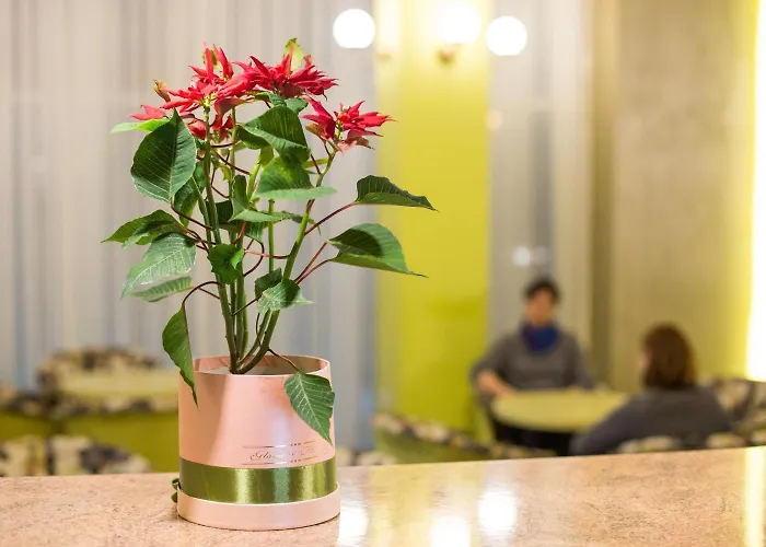 Bacolux Craiovita Hotel&events, Craiova